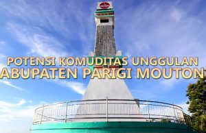 SELAYANG PANDANG KABUPATEN PARIGI MOUTONG